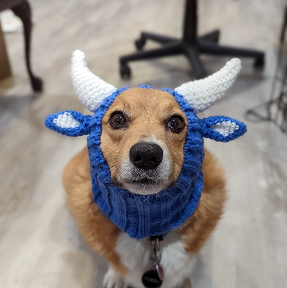 Meet your Posher, Robin - Picture 1 of 1